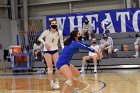 Volleyball vs RWU  Wheaton Women’s Volleyball vs Roger Williams University. : Volleyball, VB